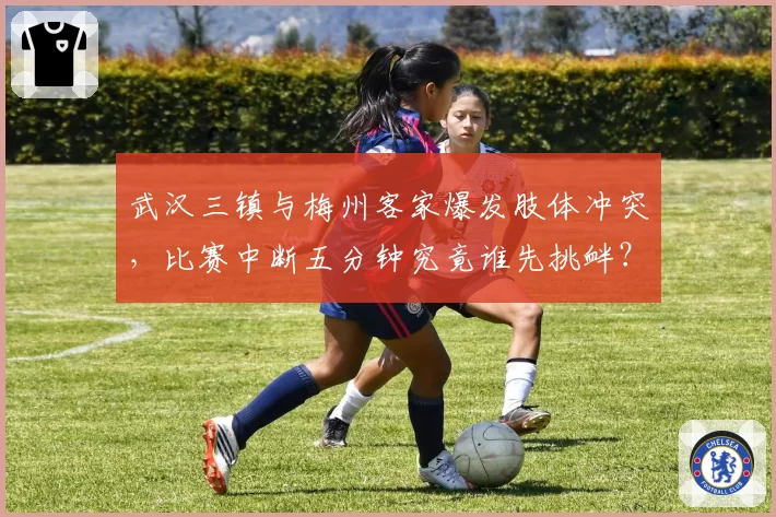 武汉三镇与梅州客家爆发肢体冲突，比赛中断五分钟究竟谁先挑衅？